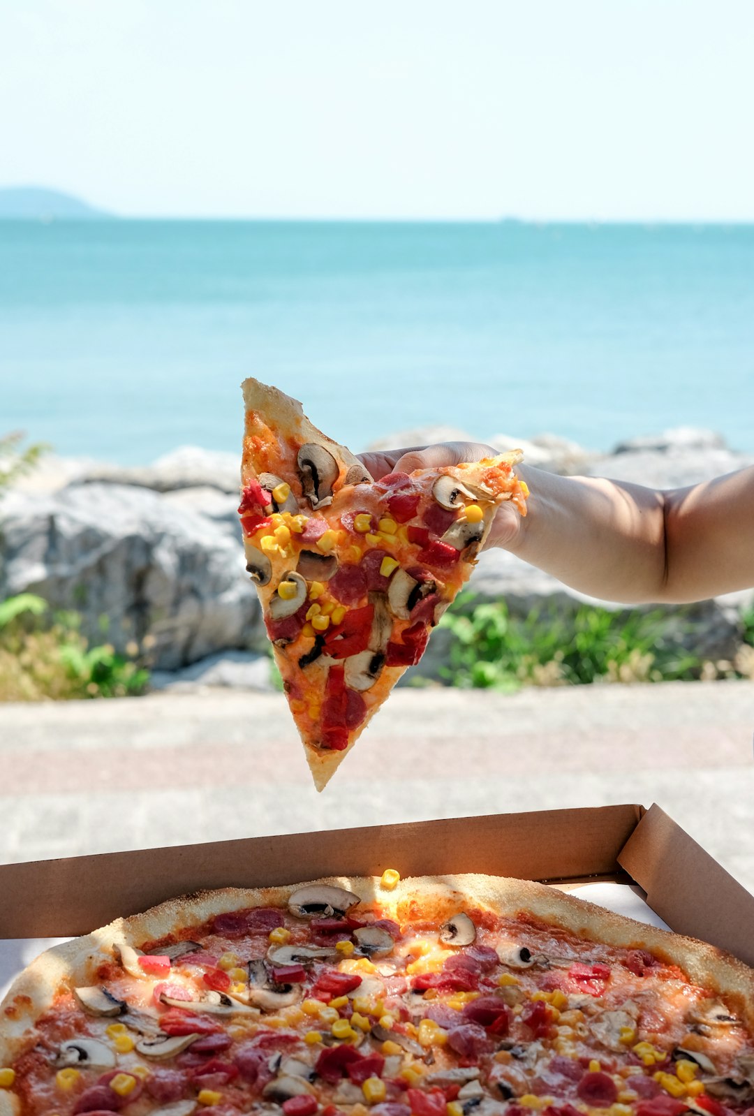 Canadian Special Pizza
